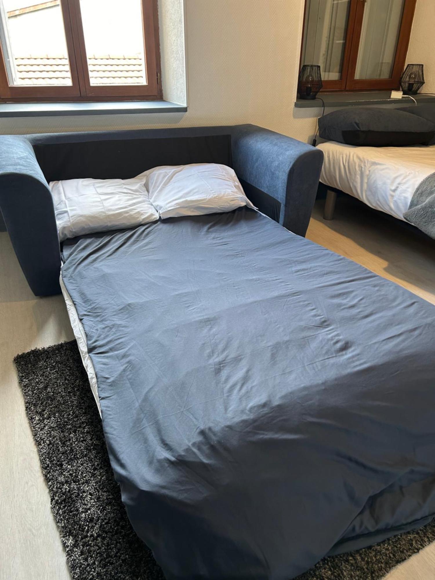 Studio De 30M² Hypercentre Tres Calme モンベリアル エクステリア 写真