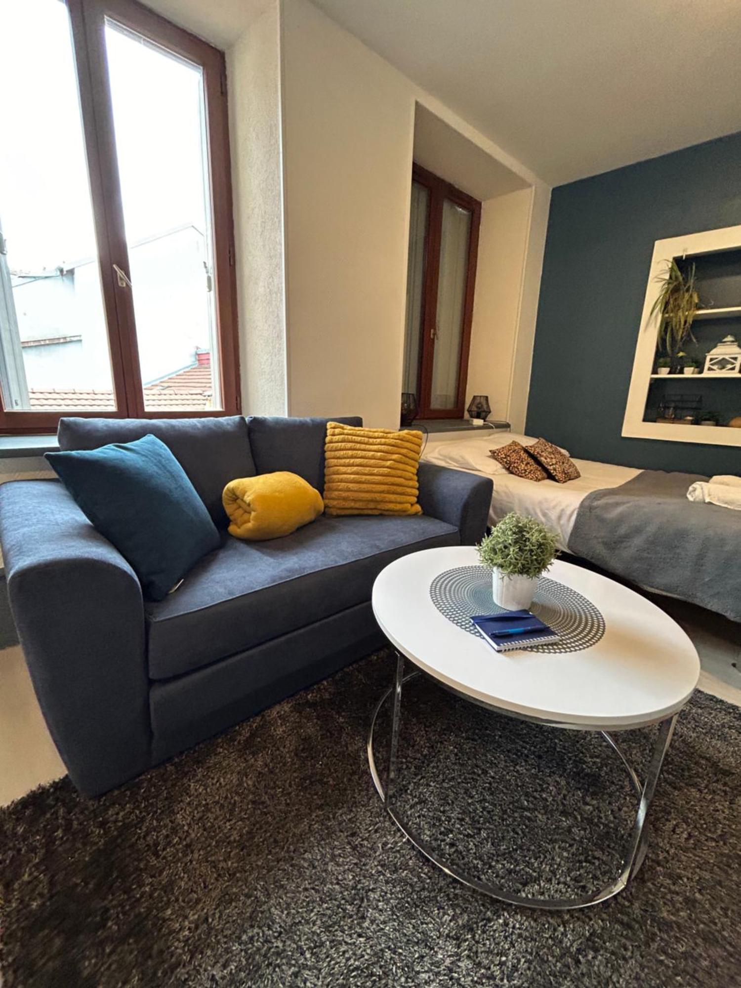 Studio De 30M² Hypercentre Tres Calme モンベリアル エクステリア 写真